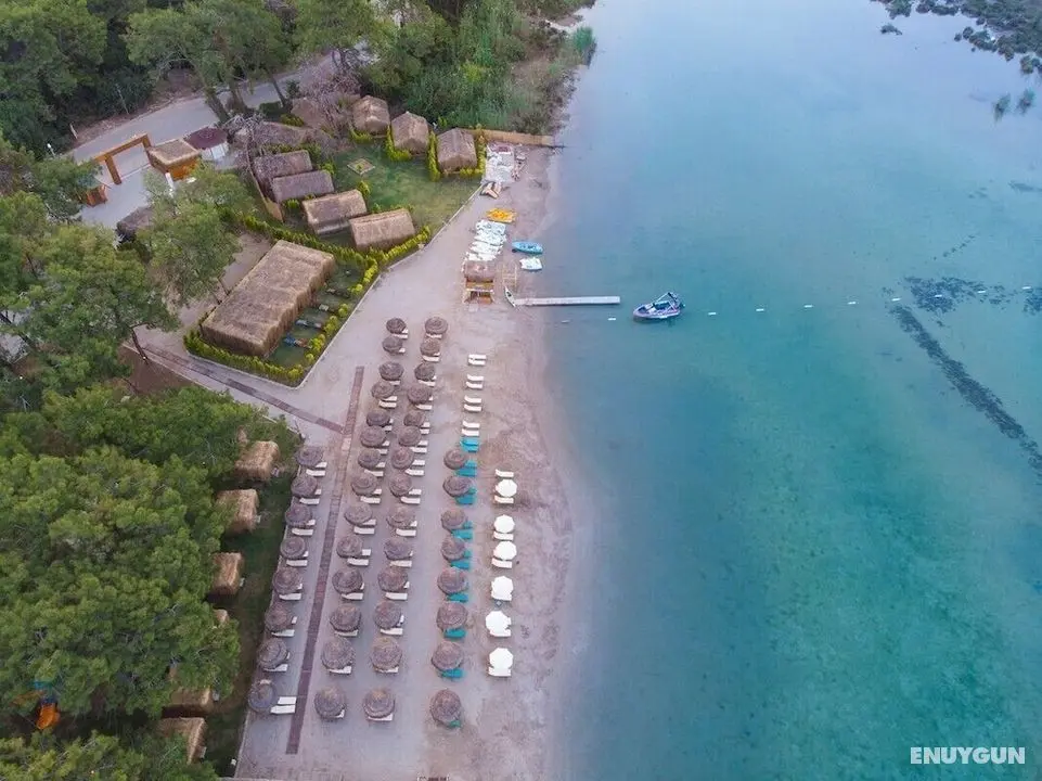 Green Pine Beach & Bungalows - Öne Çıkan Resim