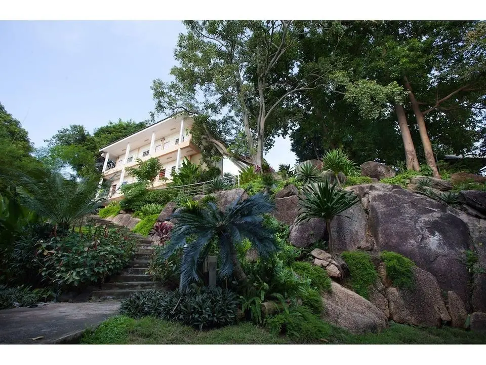 The Green Plaza Hotel - Dış Mekanlar