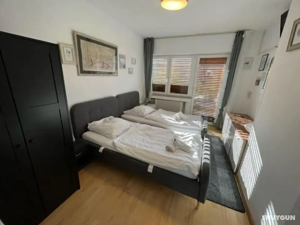 Green Seeblick Hotel & Hostel - Öne Çıkan Resim