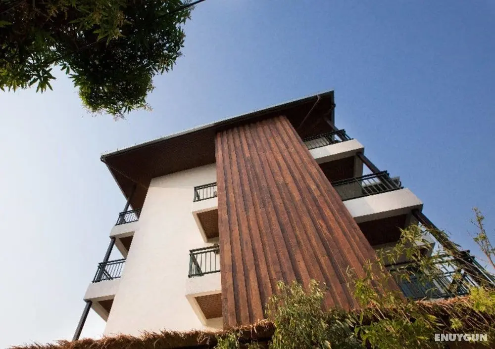Green Tiger House - Dış Mekan