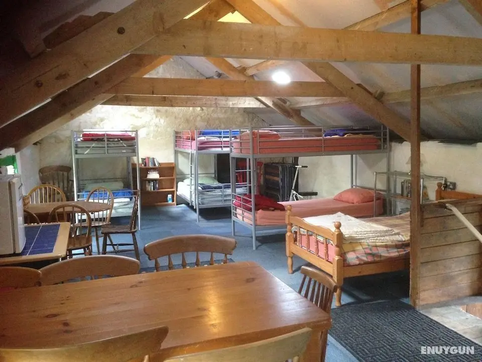 Greencarts Bunkhouse - Öne Çıkan Resim
