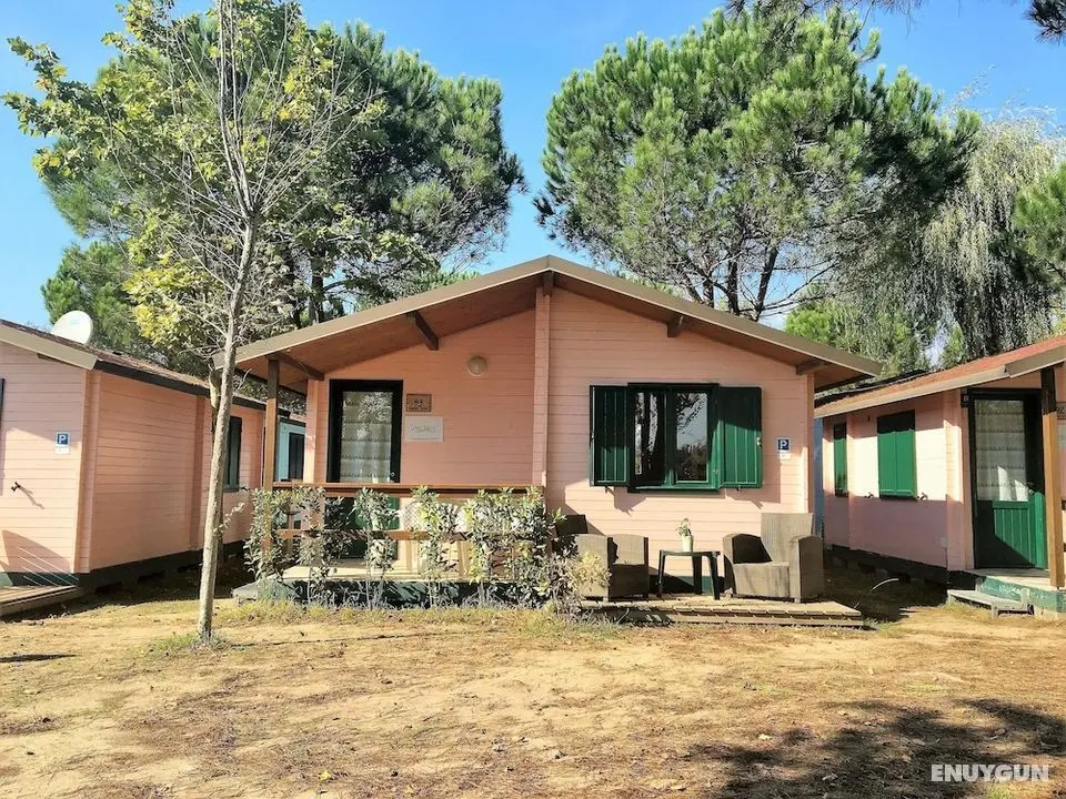 Greenchalets Toskana Viareggio - Campsite - Öne Çıkan Resim