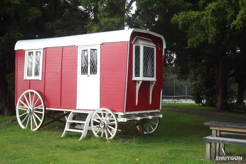 Greytown Campground - Öne Çıkan Resim