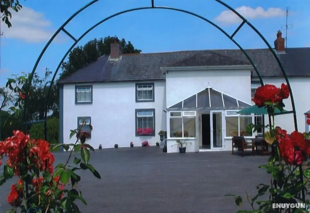Grove Farm House B&B - Öne Çıkan Resim