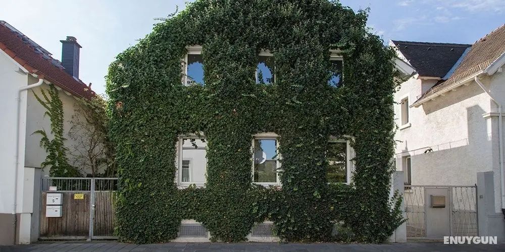 Gruppenhaus Darmstadt - Öne Çıkan Resim