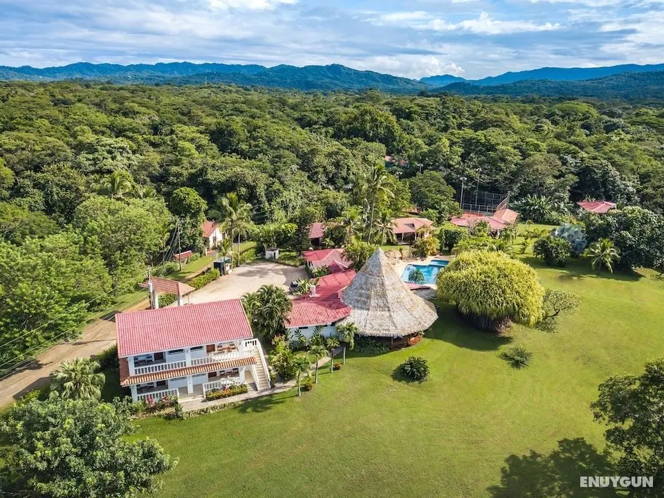 Guacamaya Lodge - Dış Mekan