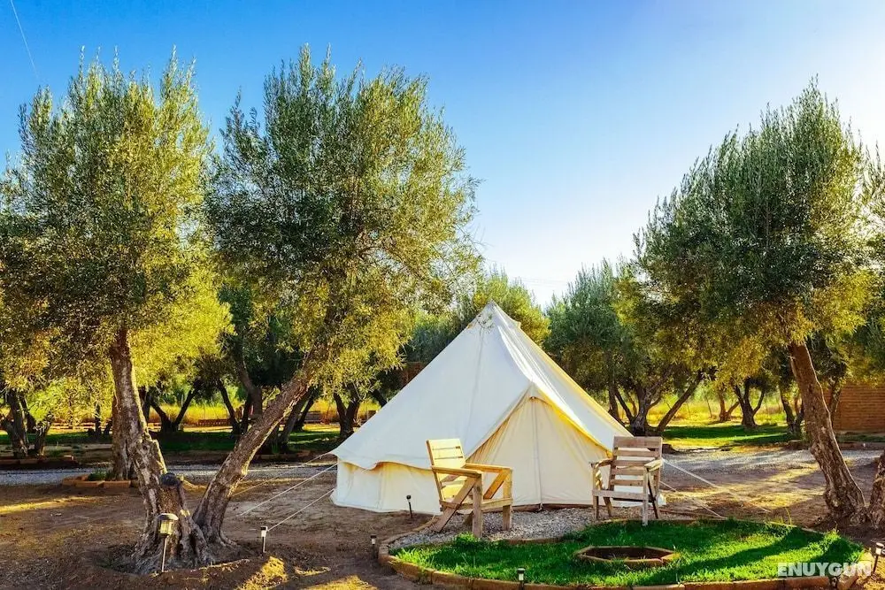 Guadalupe Valle Glamping - Dış Mekan