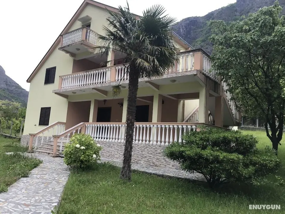Guest house Adriatiku - Öne Çıkan Resim
