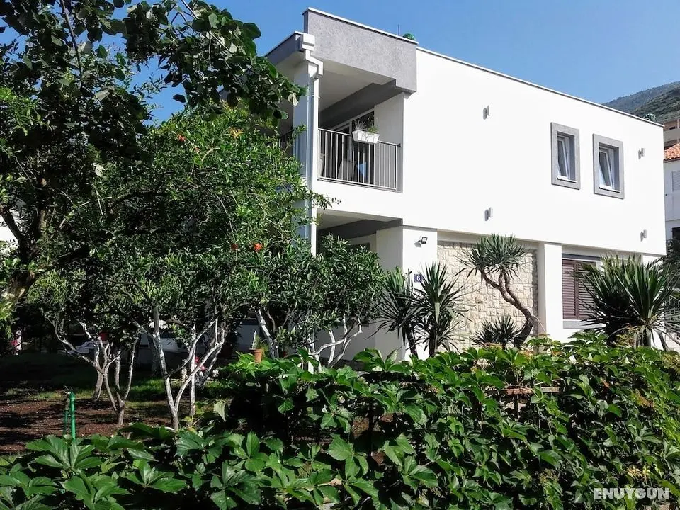 Guest house Djonovic - Öne Çıkan Resim
