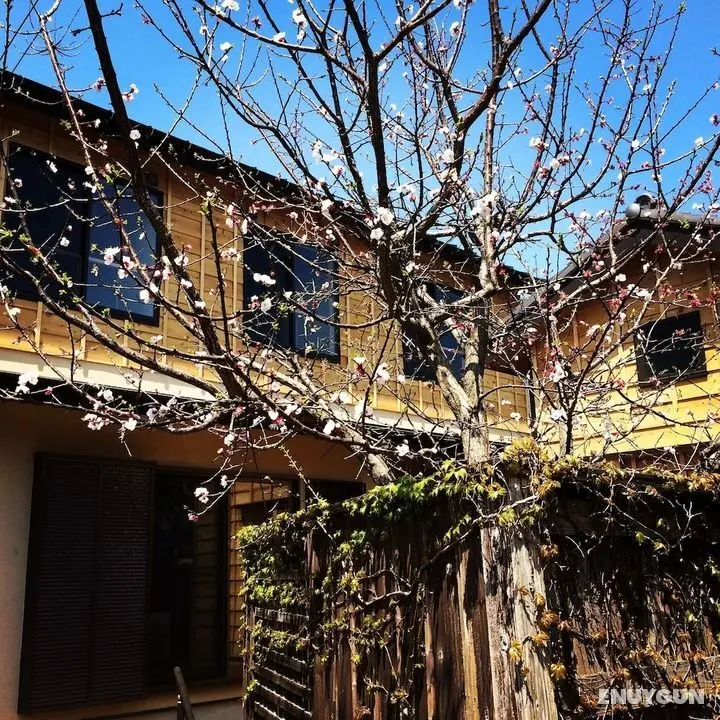 Guest House Kamakura Zen-ji - Hostel - Öne Çıkan Resim