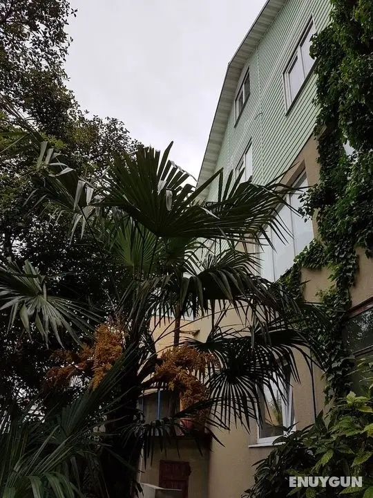 Guest House MishLen - Öne Çıkan Resim