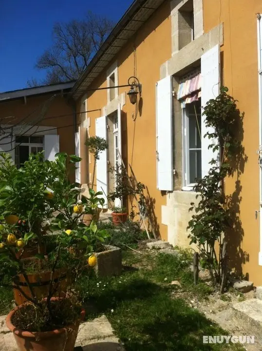 Guest House Yuccas & Tilleuls - Öne Çıkan Resim
