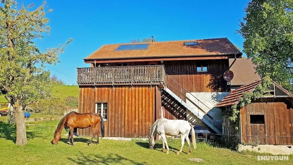 Guesthouse la Molière - Öne Çıkan Resim