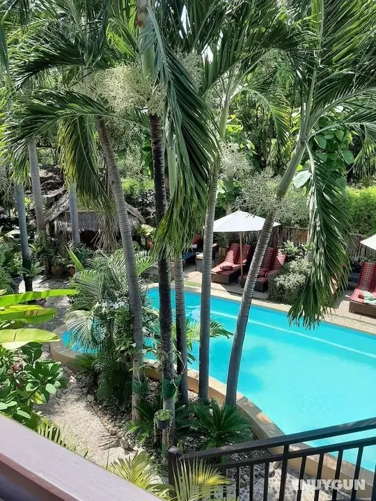 Guesthouse Liam's Suan Dok Mai - Öne Çıkan Resim