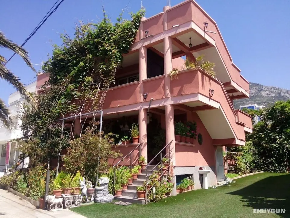 Guesthouse Mediha Nikicic - Öne Çıkan Resim