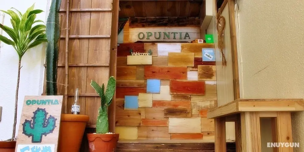 Guesthouse Opuntia - Hostel - Öne Çıkan Resim