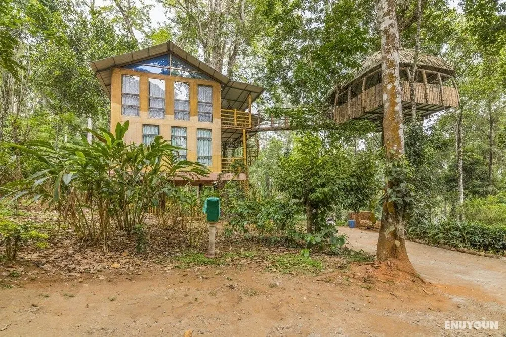 GuestHouser 4 BHK Tree house 7d51 - Öne Çıkan Resim