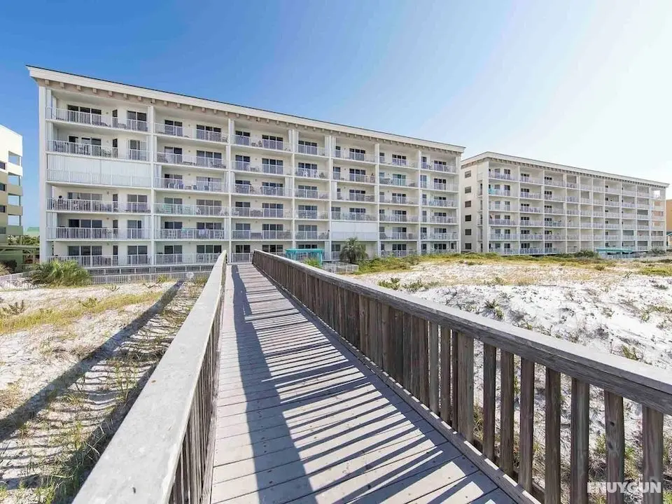 Gulf Dunes #117 West - Öne Çıkan Resim