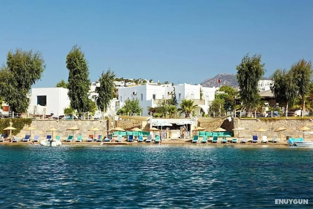 Gümbet Cove Hotel - Öne Çıkan Resim