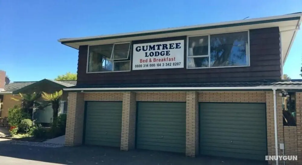 Gumtree Lodge B&B - Dış Mekan