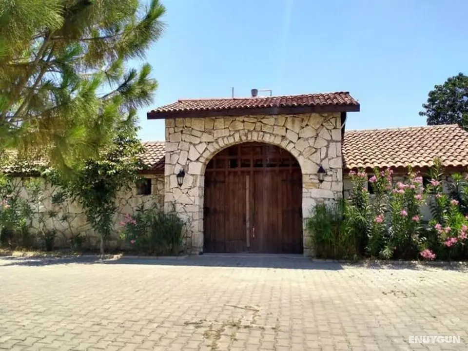 Güney Urla Suits - Öne Çıkan Resim