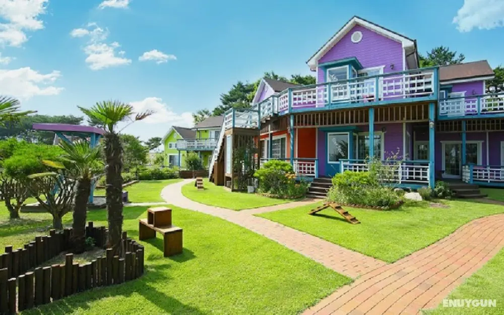 Gyeongju Novios Pets Friendly Pension - Öne Çıkan Resim