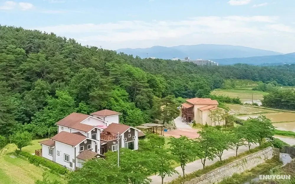 Gyeongju Woori Nuri Pension - Misafir Tesisleri ve Hizmetleri