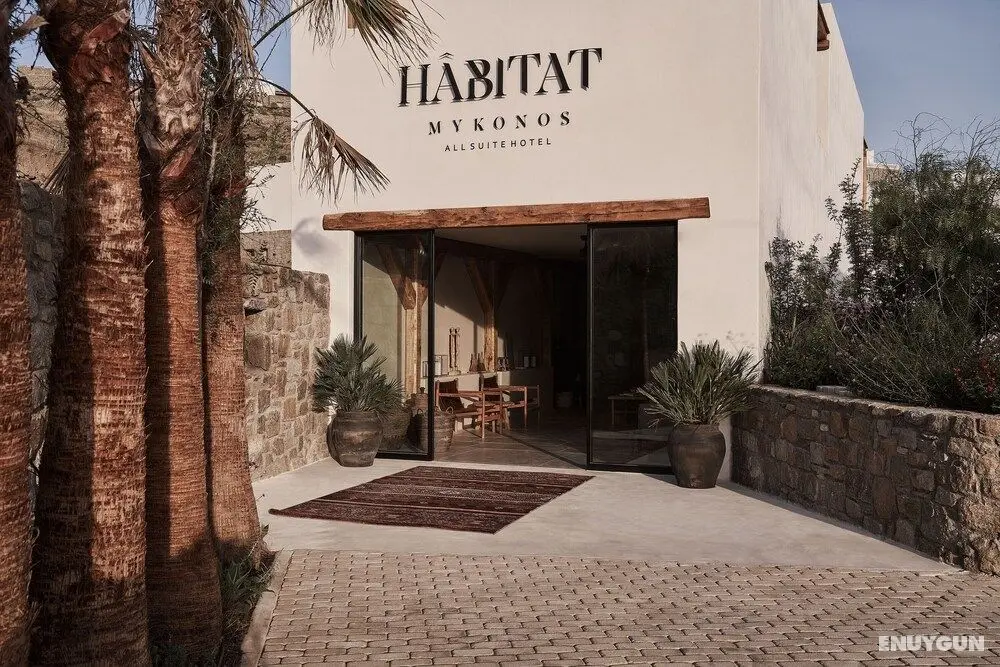 Habitat Mykonos All Suite Hotel - Dış Mekan