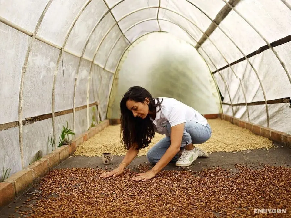 Hacienda Boutique Santa Rosanna - Öne Çıkan Resim