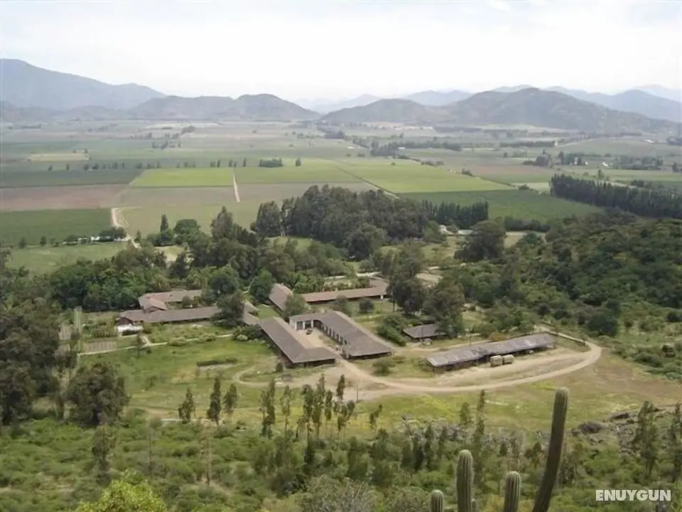 Hacienda Los Lingues Chili - Dış Mekan
