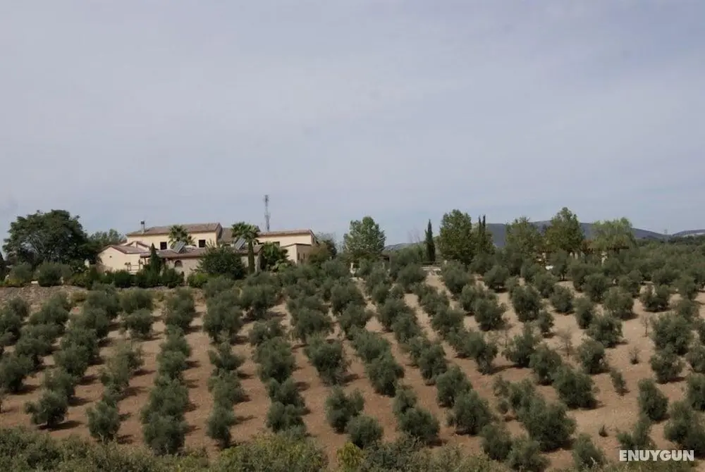 Hotel Hacienda Mendoza - Konum Öne Çıkanlar