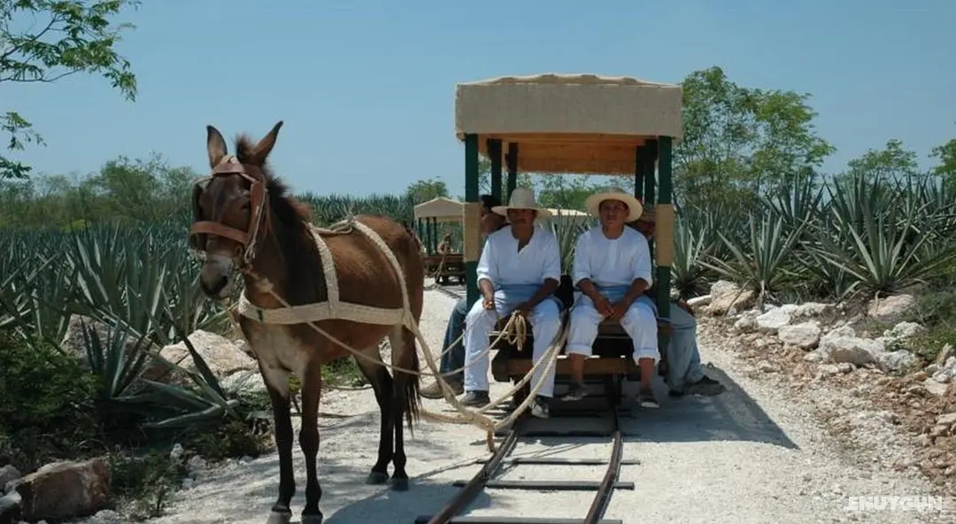 Hacienda Viva Sotuta de Peón - Genel