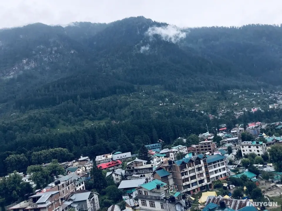 Hotel Hadimba Palace Manali - Dış Mekan