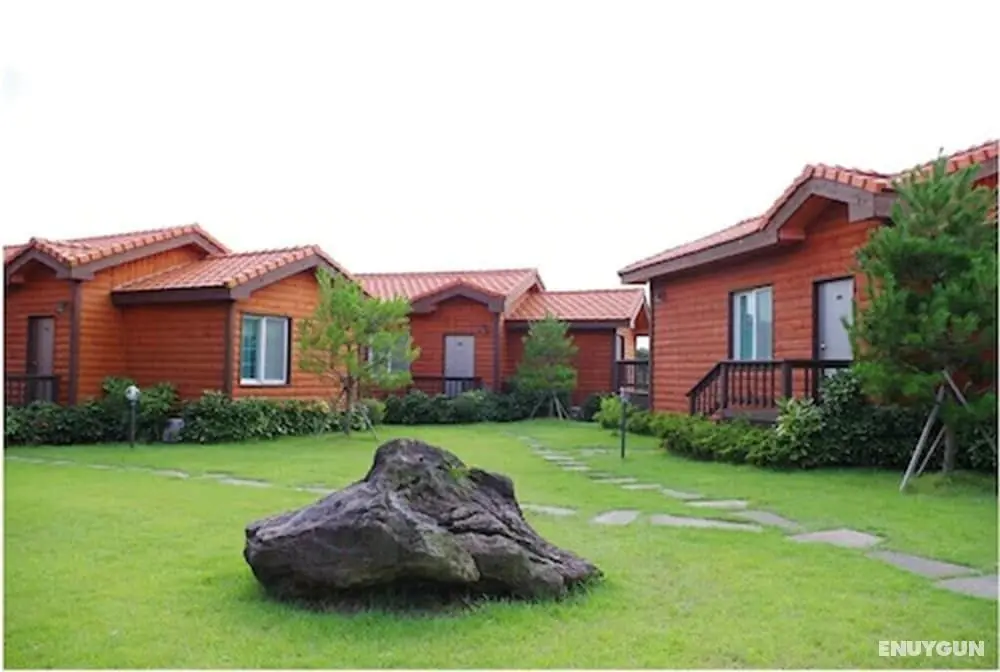 Haemaji Pension - Öne Çıkan Resim