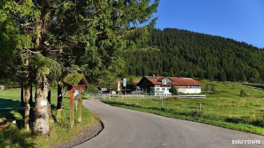 Haflingerhof - Kematsried - Öne Çıkan Resim