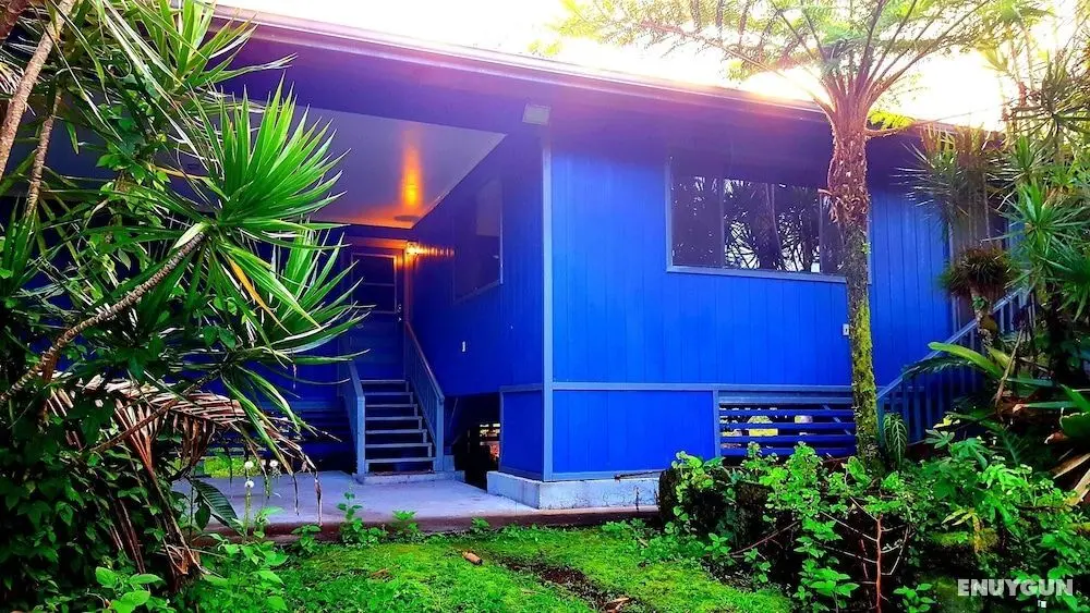 Hale Ola Aina 2 Bedroom Home by Redawning - Öne Çıkan Resim
