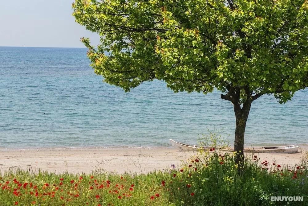 halu! Modern & Cozy Seafront Villa - Öne Çıkan Resim