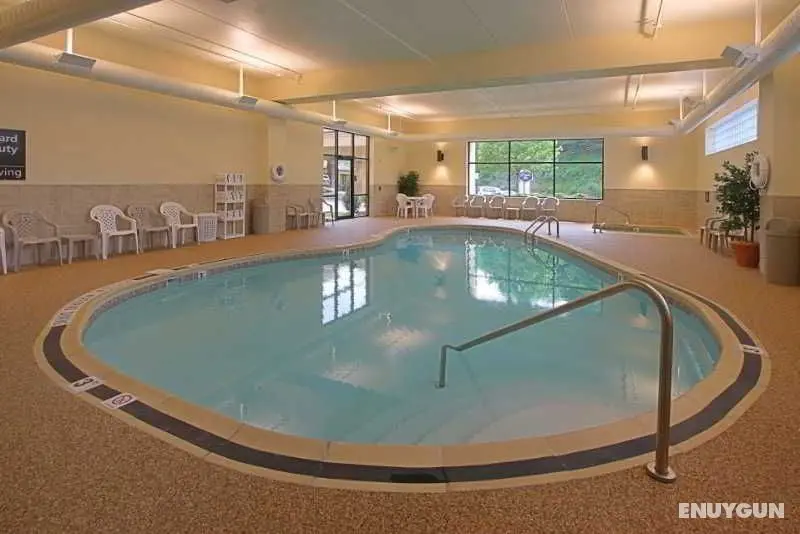 Hampton Inn Pittsburgh-Mcknight Rd. - Havuz