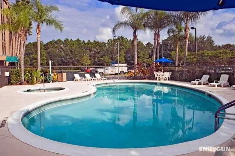 Hampton Inn Sarasota 1-75/Bee Ridge - Havuz