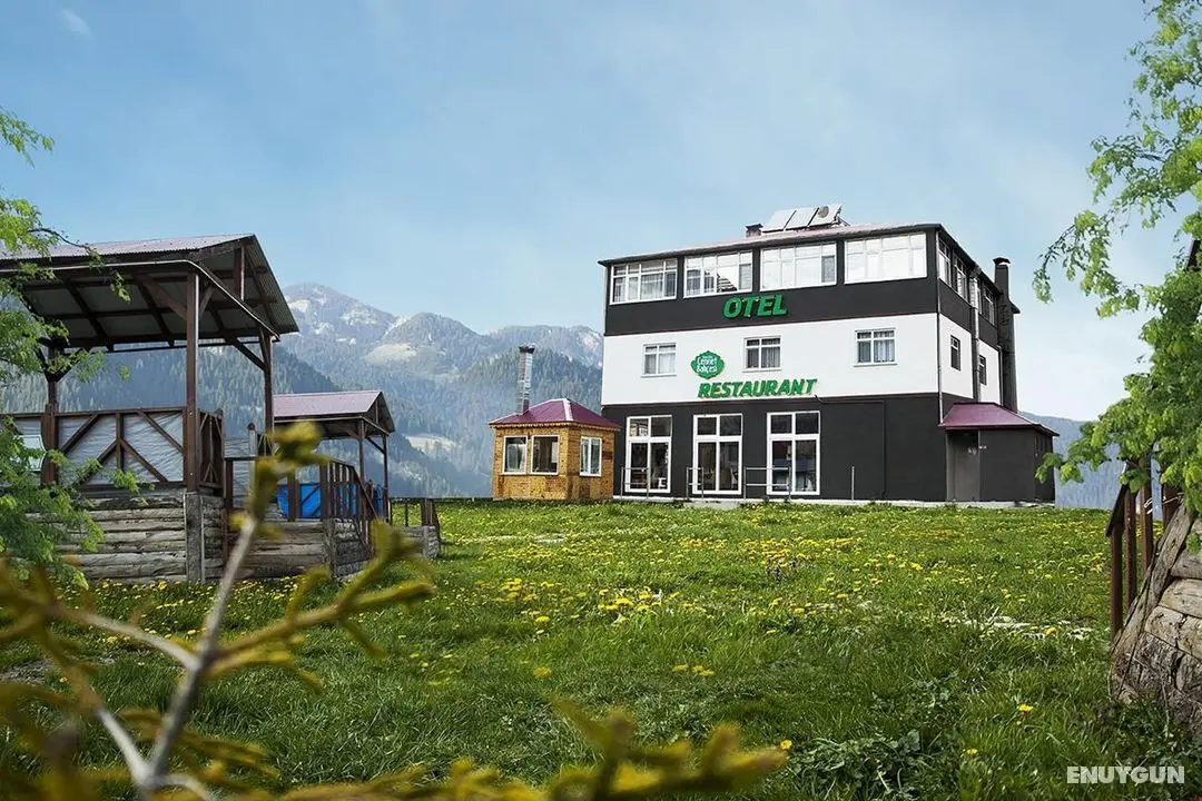 Hamsiköy Cennet Bahçesi Otel & Restaurant - Genel