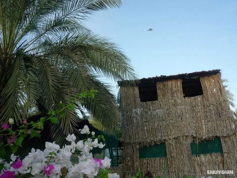 Hanaa Resort - Jalan Bani Bu Ali - Öne Çıkan Resim