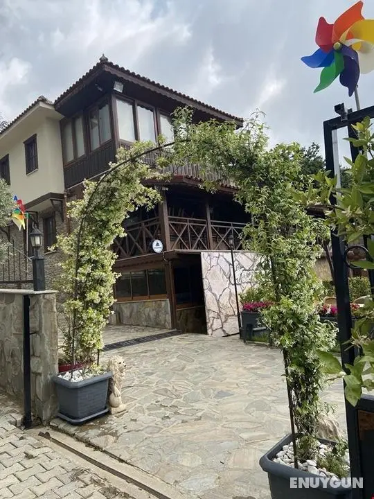 Hanzade Birgi - Genel