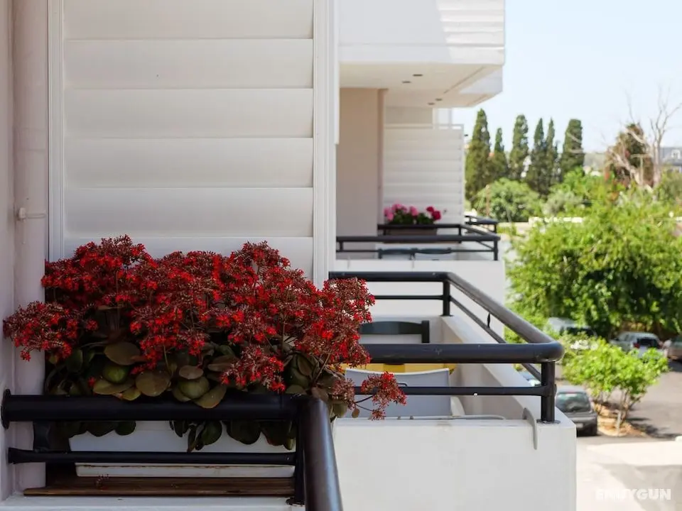 Happiness Apartments - Oda Manzaraları