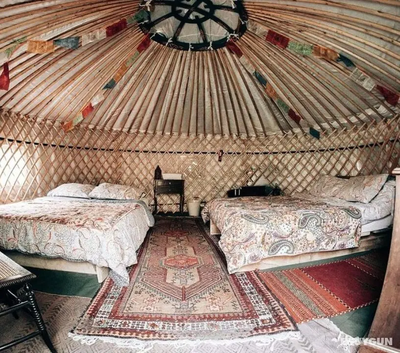 Hapus Yurt, Luxury Yurts & Barn Kitchen - Sleeps 9 - Öne Çıkan Resim
