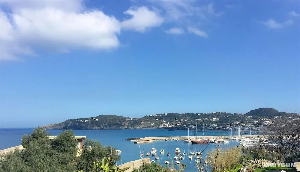 Harbour View - Öne Çıkan Resim