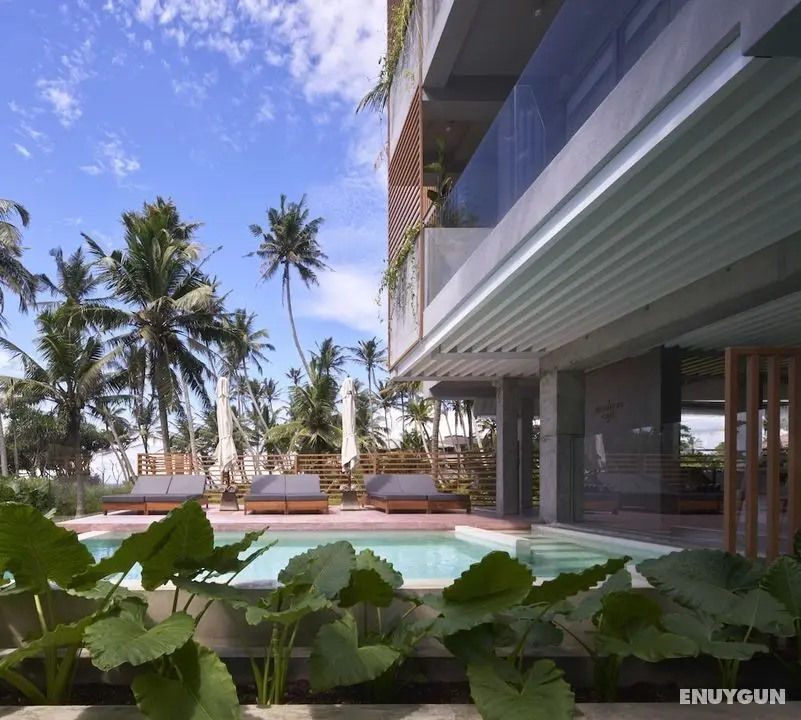 Harding Boutique Hotel - Havuz