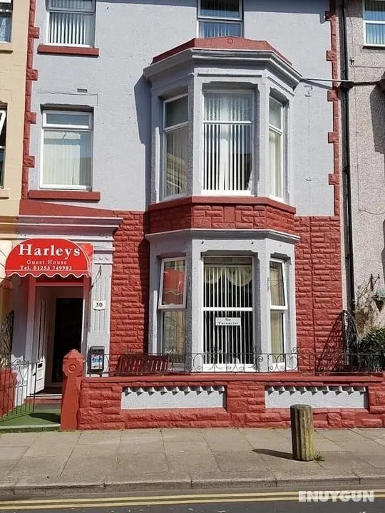 Harleys Guest House - Öne Çıkan Resim