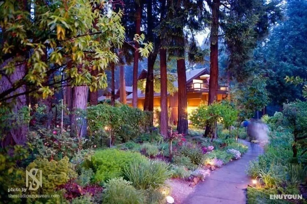 Harmony Ridge Lodge - Öne Çıkan Resim