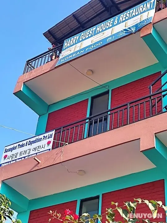 Harry Guest House & Restaurant - Öne Çıkan Resim