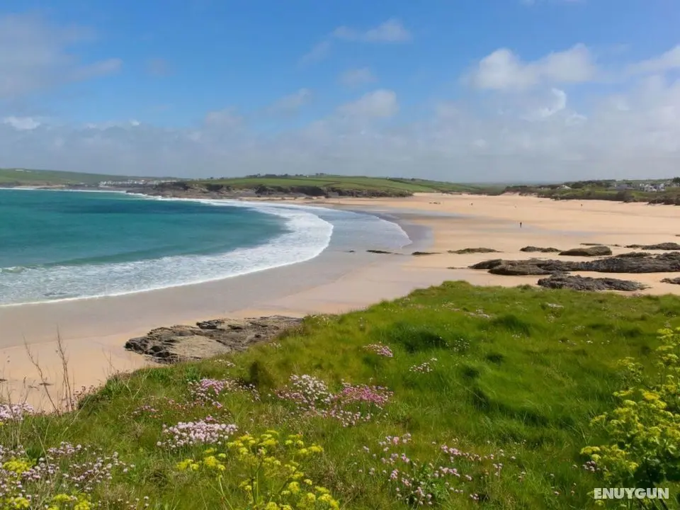 Haslam St Merryn in St Merryn - Oda